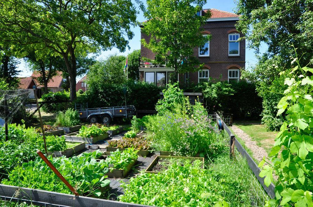 B&B De Postoari Terschelling Hoorn  Екстериор снимка